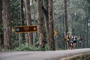 BIB: 
                            <button type="button" onclick="openModal(22792018)" class="btn btn-primary btn-sm float-right btn-popup" data-toggle="modal" data-target=".modal-high-quality">
                        <i class="fas fa-shopping-cart"></i> Add to Cart
                    </button>
                                            <button type="button" onclick="isThisMe(22792018, true)" class="btn btn-success btn-sm float-right btn-popup btn-isme hidden" data-toggle="tooltip" data-placement="bottom" title="นี่คือรูปของคุณใช่ไหม คลิกที่นี่เพื่อเอาเข้าอัลบั้ม">
                        <i class="fas fa-plus"></i> Add to album
                    </button>
                    <button type="button" onclick="isThisMe(22792018, false)" class="btn btn-warning btn-sm float-right btn-popup btn-isnotme hidden">
                        <i class="fas fa-ban"></i> Remove from album
                    </button>